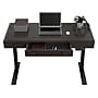 FlexiSpot 48"W Electric Adjustable Standing Desk, Brown (UD5B-OFF)~#|#~sp137959430_sc7