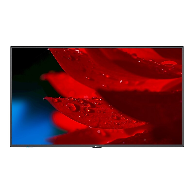 NEC MultiSync 55" Monitor for Digital Signage (MA551) image 1