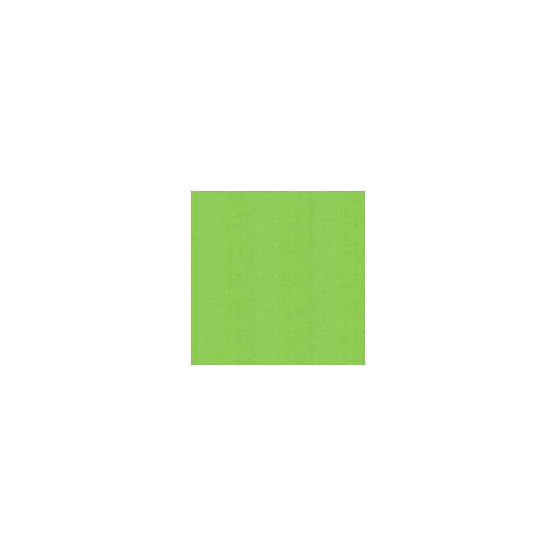 Greatex Mills Green Basic Solid Flannel Fabric 42" Wide, 2yd Cut (GTXCZ2-GRN) image 1