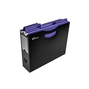 AutoExec Plastic File Holder 12”W x 9.5”H x 3”D Letter Size, Black (FILEHOLDER-01)