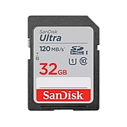 SanDisk Ultra SDSDUN4-032G-AN6IN 32GB Flash Memory, SDHC