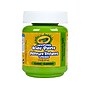 Crayola Washable Kid's Paint, Granny Smith Apple, 2 Oz. (54-2845)~#|#~sp144158312_sc7