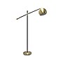 Lalia Home Studio Loft 59" Antique Brass/Matte Black Floor Lamp with Dome Shade (LHF-5015-AB)~#|#~sp144158516_sc7