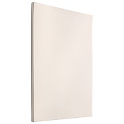 JAM Paper Strathmore 88 lb. Cardstock Paper, 11" x 17", Natural White, 50 Sheets/Pack (17430341)