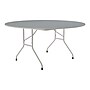 Correll Folding Table, 62" Dia., Gray (CF60TF-15)~#|#~sp145952617_sc7