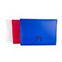 TRU RED Reinforced Plastic Accordion File, 13-Pocket, Letter Size, Assorted Colors (TR51832)~#|#~sp146048858_sc7