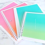 Carolina Pad Sherbert Notes Personal Notebook, 5" x 7", College-Ruled, 80 Sheets, Blue/Pink (35049)