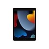 Apple iPad