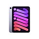 iPad Mini