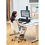 Fellowes Lotus VE Sit-Stand Single Manual Lift Workstation, Black (2750862)~#|#~sp146577775_sc7