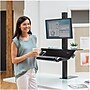 Fellowes Lotus VE Sit-Stand Single Manual Lift Workstation, Black (2750862)~#|#~sp146577776_sc7