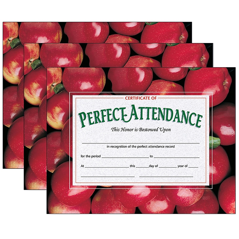 Hayes Publishing Certificate of Perfect Attendance, 30/Pack, 3 Packs (H-VA513-3) image 1
