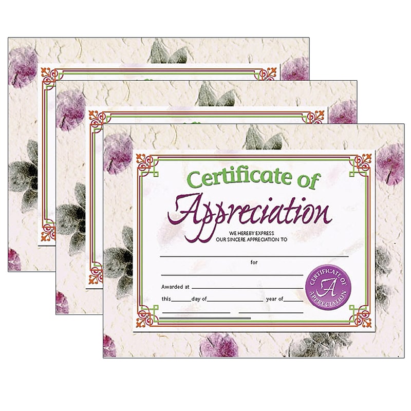 Hayes Publishing Certificate of Appreciation, 30/Pack, 3 Packs (H-VA614-3) image 1