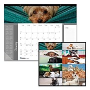 Blueline® Pets Collection Monthly Desk Pad, 22 x 17, Puppies, 2022