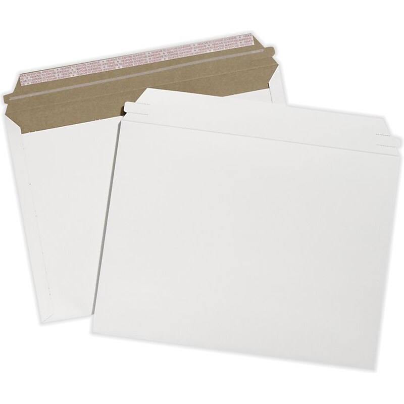 LUX 9 1/2 x 12 1/2 Paperboard Mailers 250/Pack, White Paperboard (A6CN-50) image 1