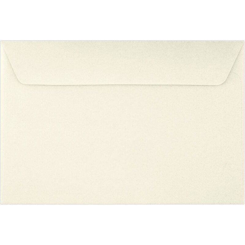LUX Self Seal Booklet Envelope, 6" x 9", Natural, 500/Pack (6025-01-500) image 1