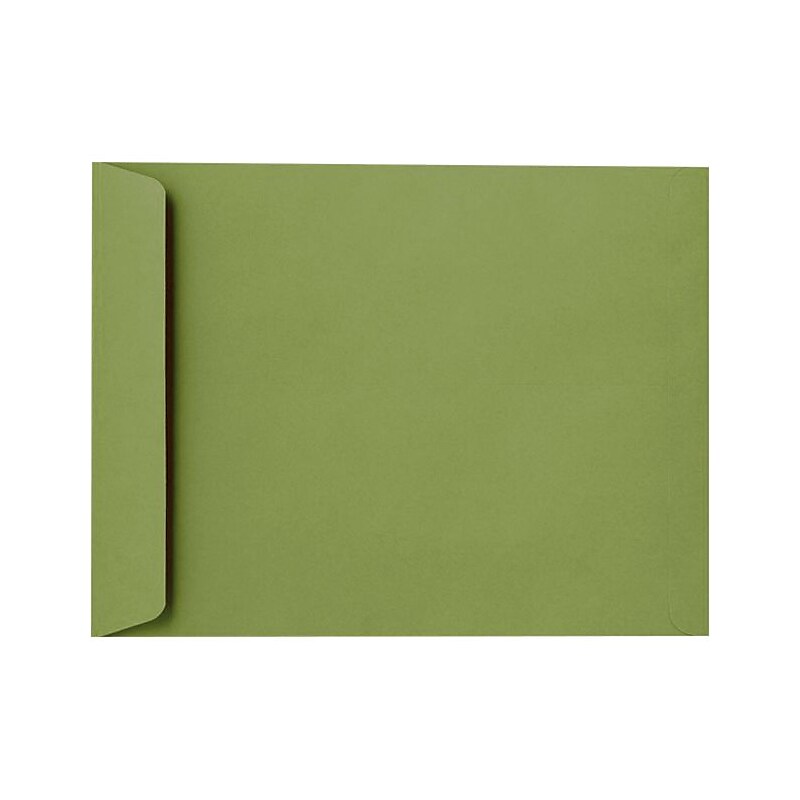 LUX 10 x 13 Open End Envelopes 250/Pack, Avocado (EX4897-27-250) image 1