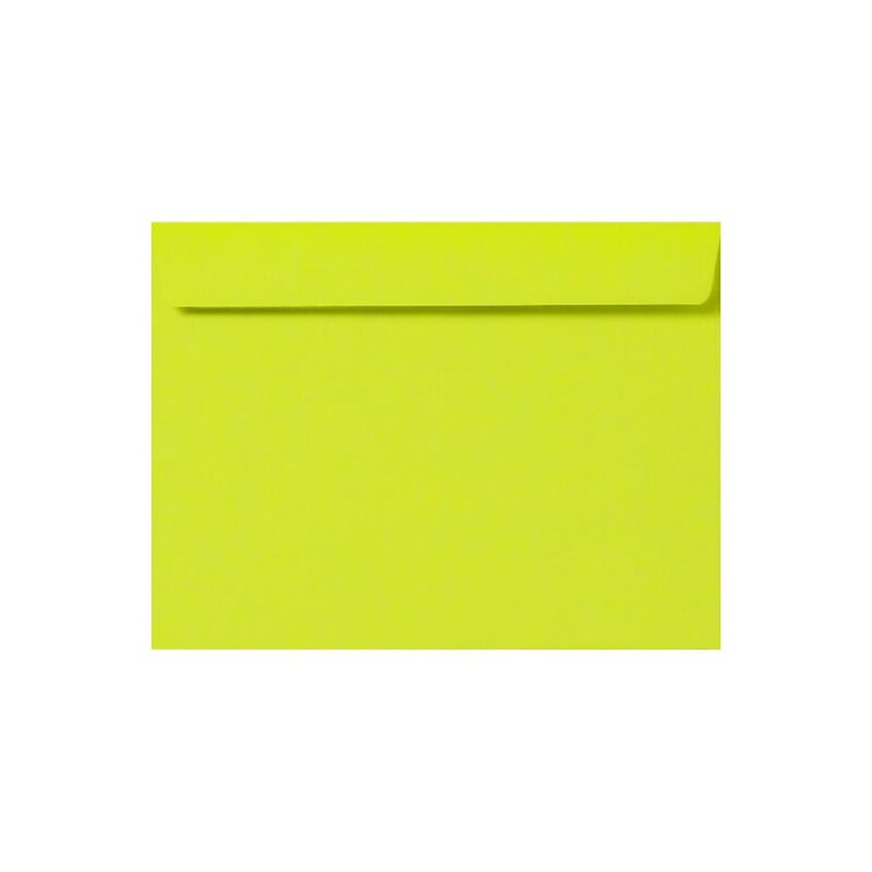 LUX 9 x 12 Booklet Envelopes 50/Pack, Wasabi (LUX-4899-L22-50) image 1