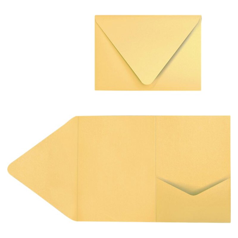 LUX A7 Pocket Invitations (5 x 7) 10/Pack, Gold Metallic (EX10LEBAGMPF10) image 1
