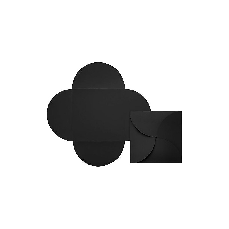 LUX 6 1/4 x 6 1/4 Petal Invitations 20/Pack, Midnight Black (EX10LEBA537PC20) image 1