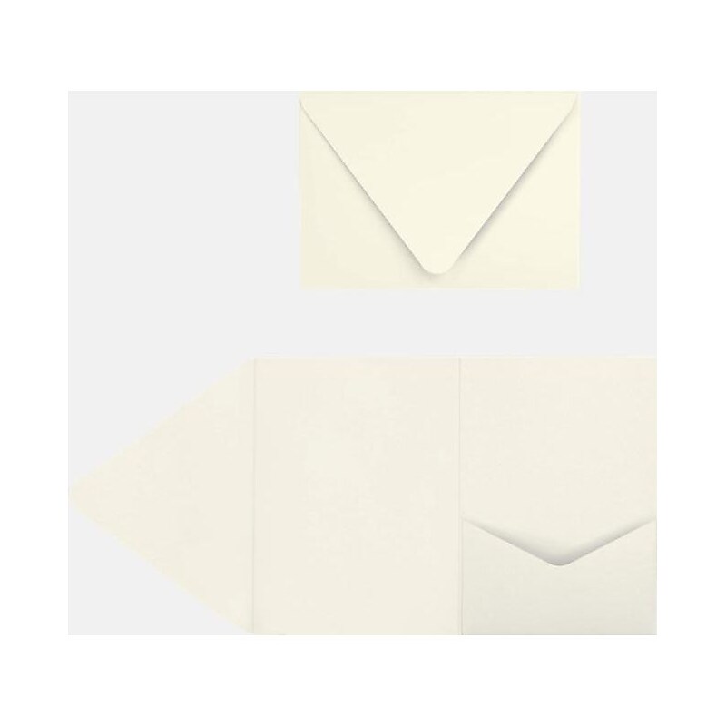 LUX A7 Pocket Invitations (5 x 7) 10/Pack, Quartz Metallic (EX10LEBAQMPF10) image 1