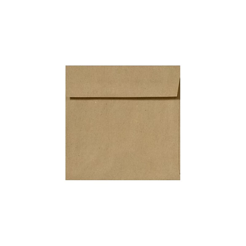 LUX 5 1/4 x 5 1/4 Square Envelopes 50/Pack, Grocery Bag (8510-GB-50) image 1