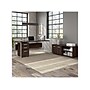 Bush Business Furniture Hybrid 21" Low Storage Cabinet with Doors and Shelves, Black Walnut (HYS160BW-Z)~#|#~sp148191664_sc7