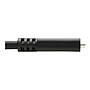 Tripp Lite 6' USB C Cable, Black (U421-006)~#|#~sp148399119_sc7