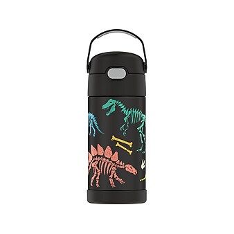 Thermos FUNtainer Glow-in-the-Dark Thermal Bottle, Assorted Colors, 12 Oz. (F4102GLA6ST)