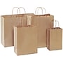 Staples 16" x 6" x 12" Shopping Bags, Kraft, 250/Carton (BGS108K)~#|#~sp150208232_sc7