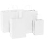 Staples 16" x 6" x 12" Shopping Bags, White, 250/Carton (BGS108W)~#|#~sp150208235_sc7