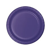 Creative Converting Touch of Color 10" Paper Banquet Plate, Purple, 72 Plates/Pack (DTC50115BBPLT)
