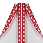 JAM Paper Wrapping Paper, 25 Sq. ft. x 30", Red with White Dots, 2/Pack (226431180A)~#|#~sp151516407_sc7