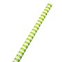 JAM Paper Wrapping Paper, 25 Sq. Ft, Lime Green & White Stripes (2226516999)~#|#~sp151516530_sc7