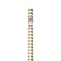 JAM Paper Wrapping Paper, 25 Sq. ft. x 30", Gold & White Stripes (2226517001)~#|#~sp151516540_sc7