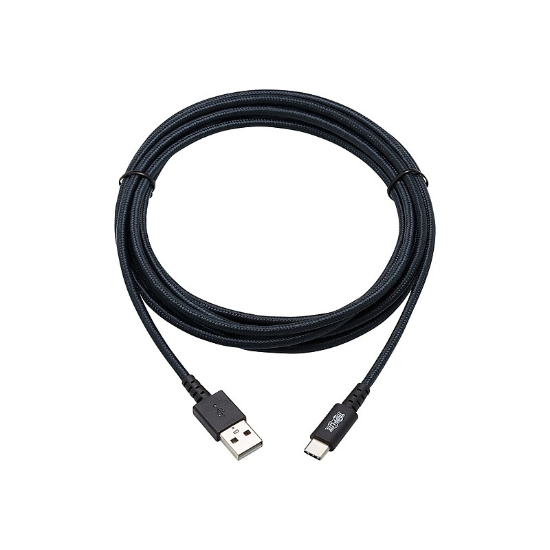 Tripp Lite 10' USB A to C Cable, Gray (U038-010-GY-MAX) image 1