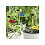 Wrap-It Storage Cable Labels, Assorted Colors, 10/Pack (410-CL-MD-MC)~#|#~sp152449904_sc7