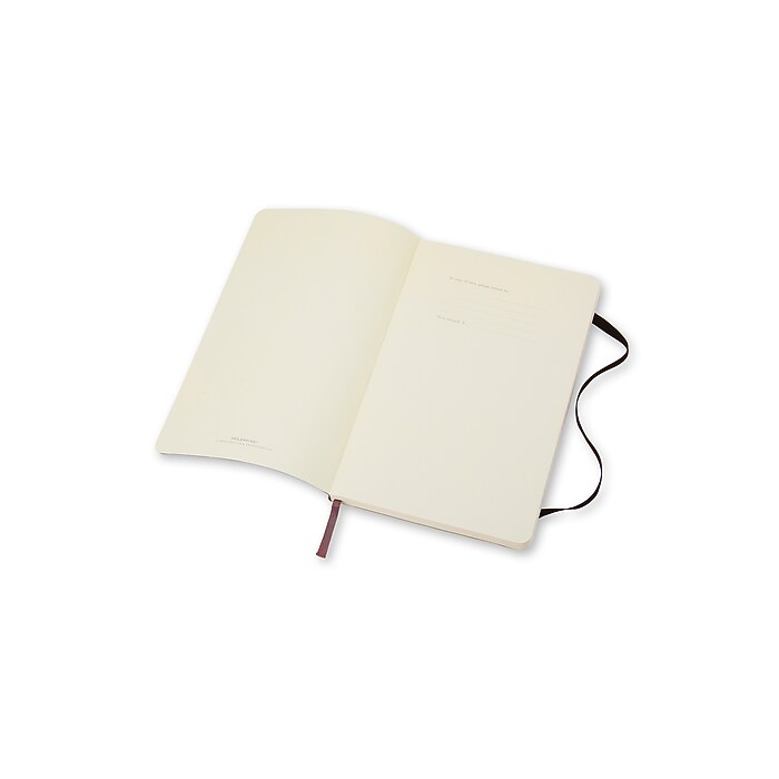 Moleskine Classic 1-Subject Professional Notebooks, 3.5