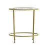 Flash Furniture Astoria Collection End Table, Clear/Matte Gold (NANJN21750ET)~#|#~sp154583881_sc7