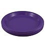 JAM Paper 10 1/4" Plastic Plates, Purple, 20 Plates/Pack (10255LPPU)~#|#~sp154750059_sc7