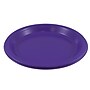 JAM Paper 10 1/4" Plastic Plates, Purple, 20 Plates/Pack (10255LPPU)~#|#~sp154750061_sc7
