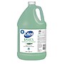 Dial Basics Liquid Hand Soap, Floral Scent, 4/Carton (DIA06047)~#|#~sp156653271_sc7