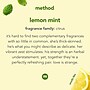 Method Foaming Hand Soap, Lemon Mint Scent, 10 Oz. (327734)~#|#~sp157747473_sc7