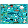 Mudpuppy Ocean Life 1000-Piece Family Puzzle (9780735349070)~#|#~sp158332930_sc7