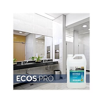 ECOS PRO Parsley Plus All-Purpose Kitchen & Bathroom Cleaner, Herbal Scent, 1 Gal. (PL9746/04)