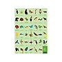Mudpuppy Rainforest 64-Piece Search and Find Puzzle (9780735351967)~#|#~sp158333521_sc7