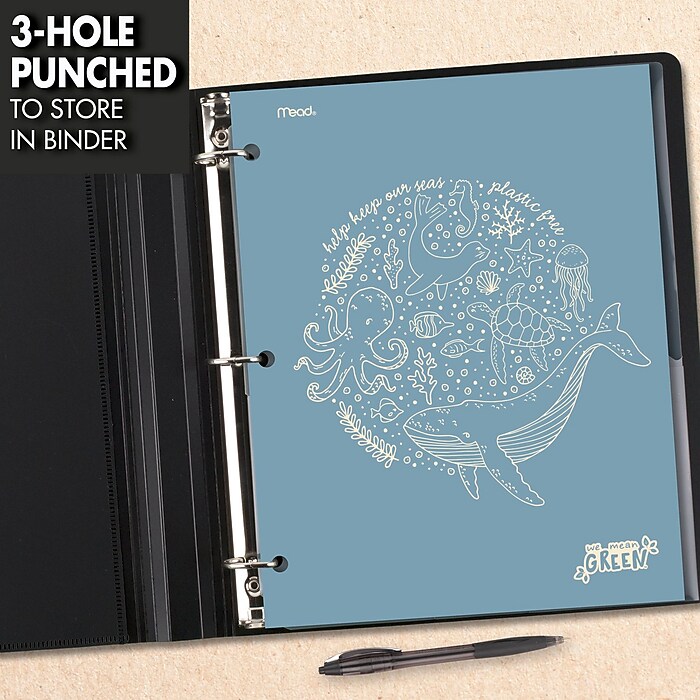 ブラタモリ 13冊セット ブラタモリ 13 京都(清水寺・祇園) 黒部ダム 立山 | NHK「ブラタモリ