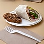 Eco-Products Compostable 9" Sugarcane Plates, 50/Pack  ~#|#~sp161309380_sc7