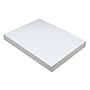 Pacon Heavyweight Tagboard, White, 9" x 12", 100 Sheets Per Pack, 2/Pack (PAC5211-2)~#|#~sp161459952_sc7