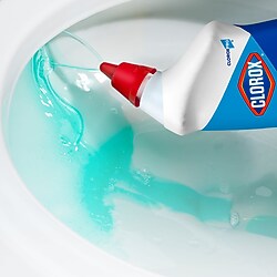 Restroom Cleaners